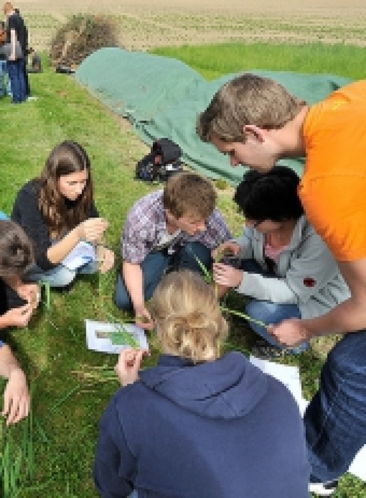 Master M.Sc., Life Sciences - Agrar- und Waldwissenschaften - Schwerpunkte / Curriculum