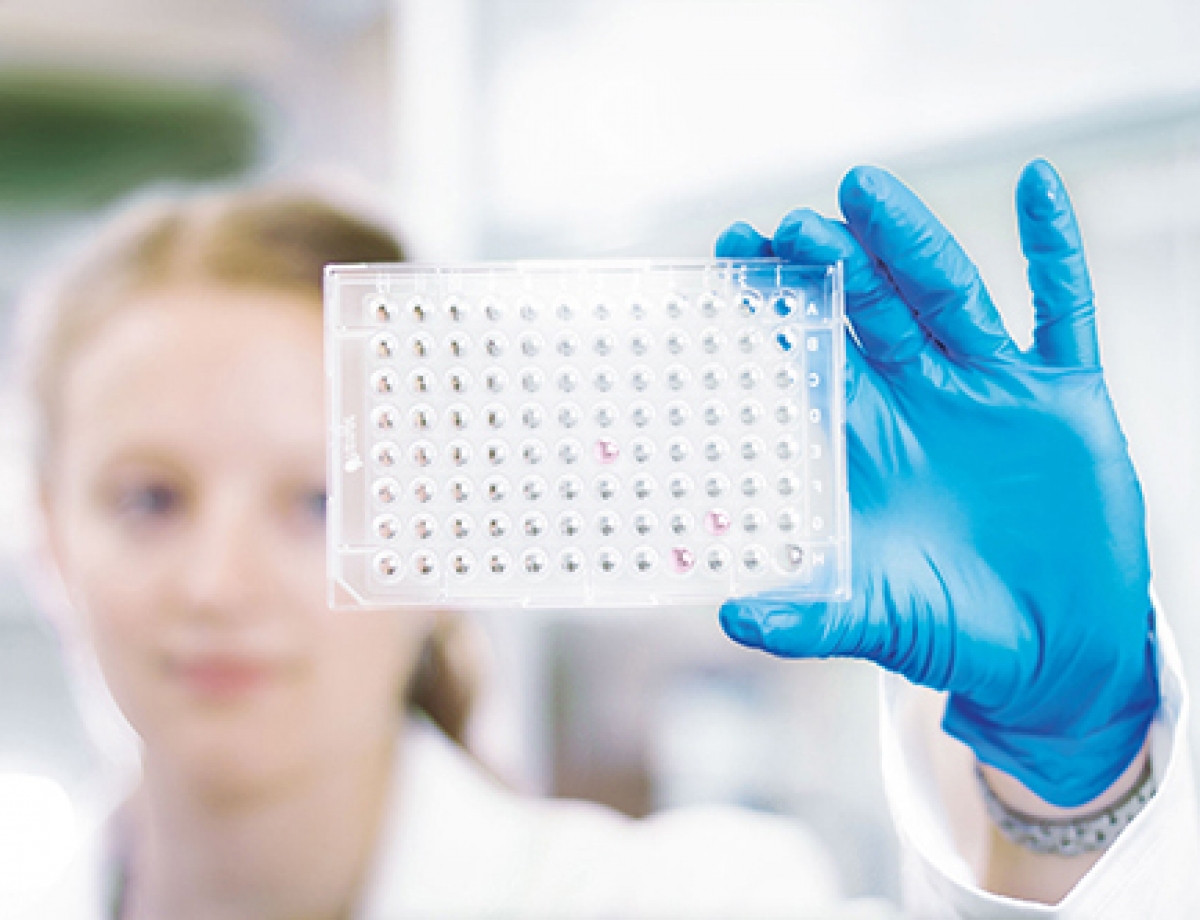 Master M.Sc., Master of Science Molecular Technologies - Berufsfeld / Zielpublikum